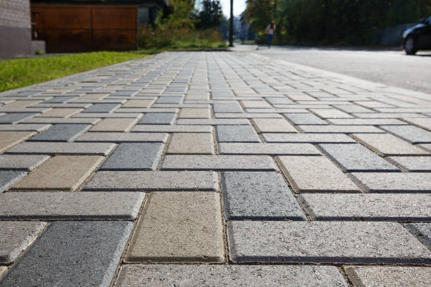 Best Driveway Pavers Near Me  in Delta Junction, AK